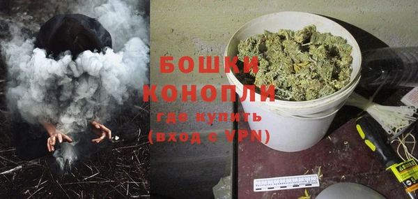 крисы Верея