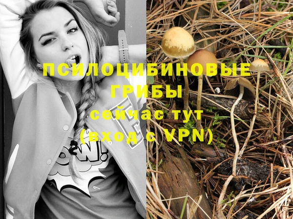 бутират Верхнеуральск
