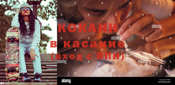 крисы Верея